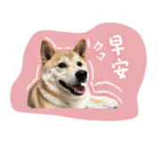 844046321