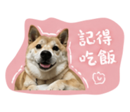 844046324