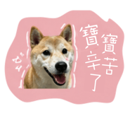 844046325