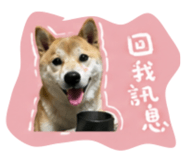 844046327