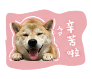 844046332