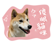 844046341