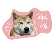 844046360