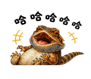 844046505