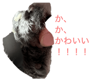 844047407