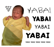 844047906