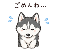 844048443