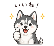 844048444