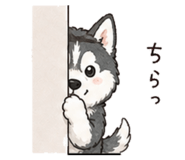 844048454