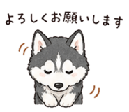 844048462
