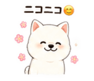 844048877