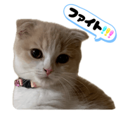 844050088