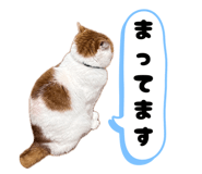 844050094