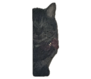 844050189