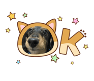 844050304