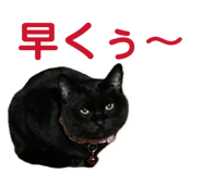 844050430