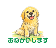 844050500
