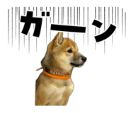 844050755