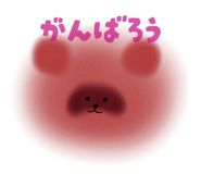844050807