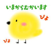 844050808