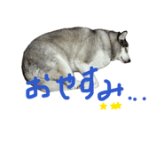 844050817