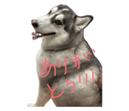 844050831