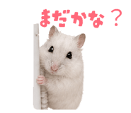 844051063
