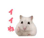 844051064