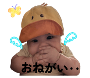 844051427