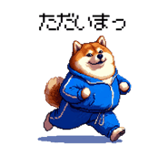844052019