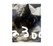 844052307