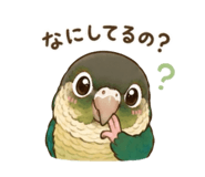844053036