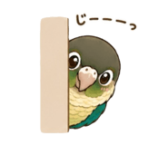 844053054