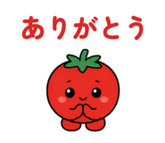 844055357