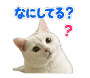 844055794
