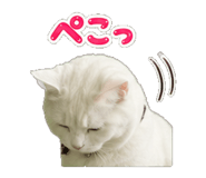 844055800