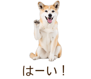 844055822