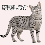 844055913
