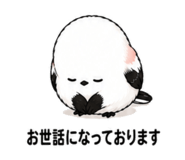 844056677