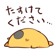 844056782