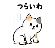844056793