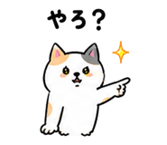 844056797