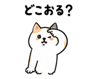 844056799