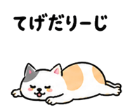 844056803