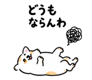 844056807