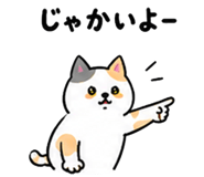 844056813