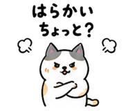 844056814