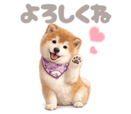 844058211