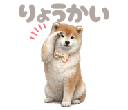 844058216