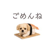 844058862